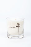 Antidris Cassis Candle 240g