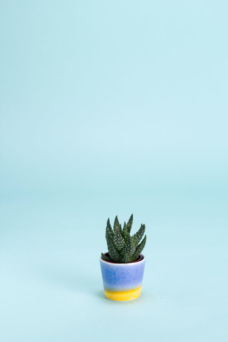 SGW LAB PLANT POT (SMALL) - EXCLUSIVE BLUE